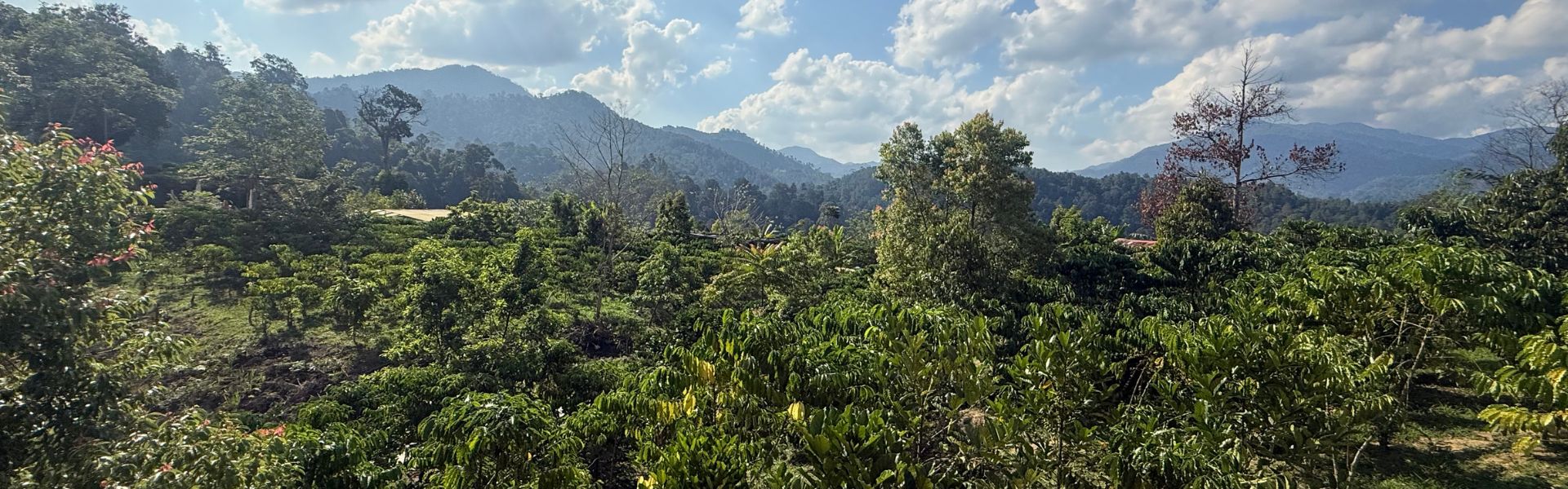 Additional five acre land lease